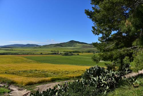 Azienda Agricola Marineto