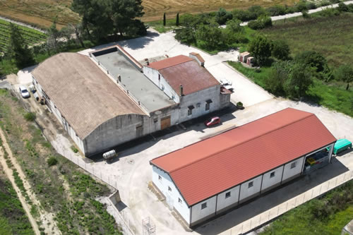 Centro Aziendale Petito