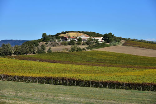 Centro Aziendale Petito