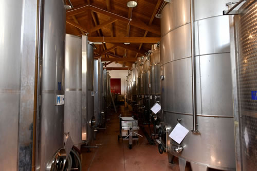 Centro Aziendale Petito