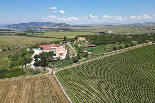Azienda Agricola Marineto