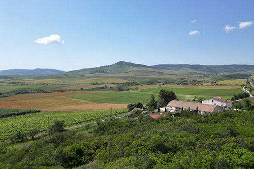 Azienda Agricola Marineto