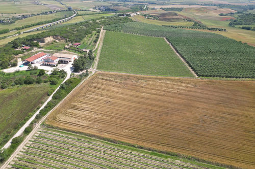 Azienda Agricola Marineto