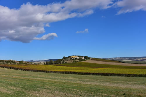 Azienda Agricola Marineto