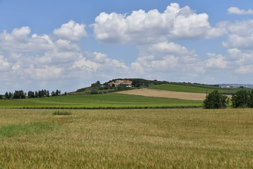 Coltivazioni Azienda Agricola Petito
